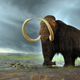 Image for article titled Complete Woolly Mammoth Skeleton Found In The North Sea